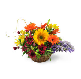 Basket of Wishes